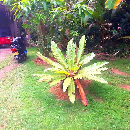 Nadee Villa Bentota Esterno foto